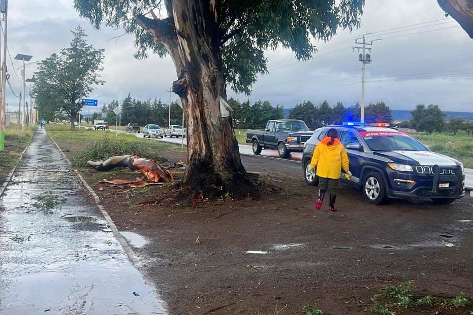 Atienden áreas del Ayuntamiento de Huamantla afectaciones por lluvias moderadas